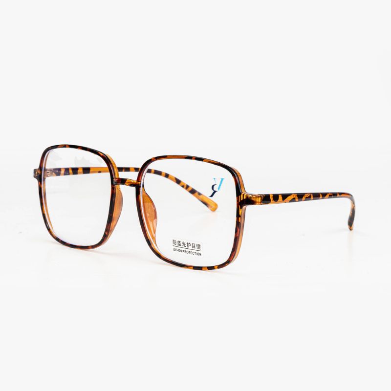Lunettes Femme - Ray Vision - 079