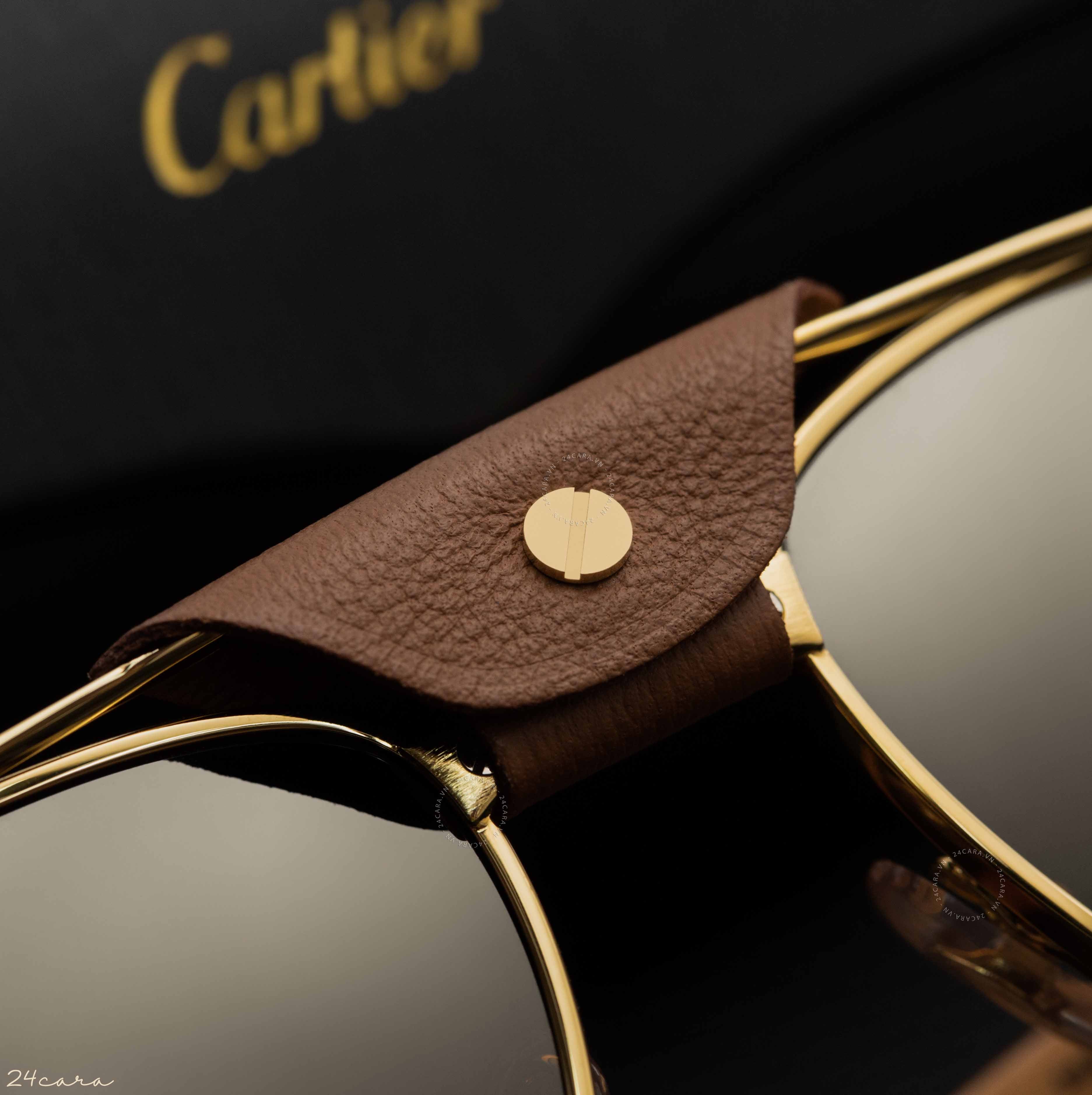 Sunglasses - Cartier Santos - HC05