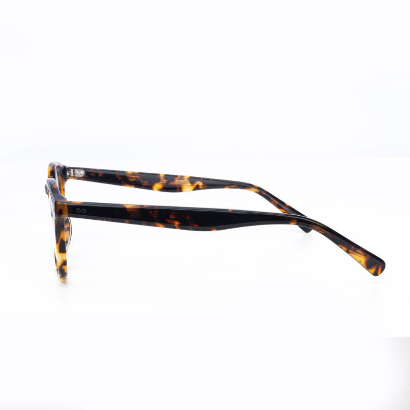 Lunettes Homme - Ray Vision - 096