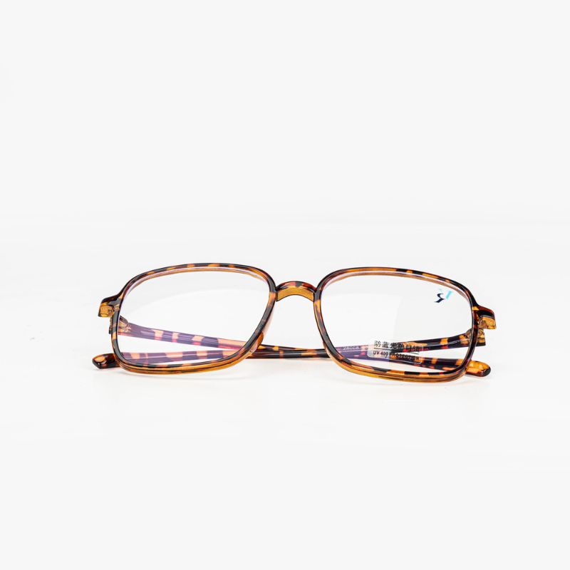 Lunettes Femme - Ray Vision - 079