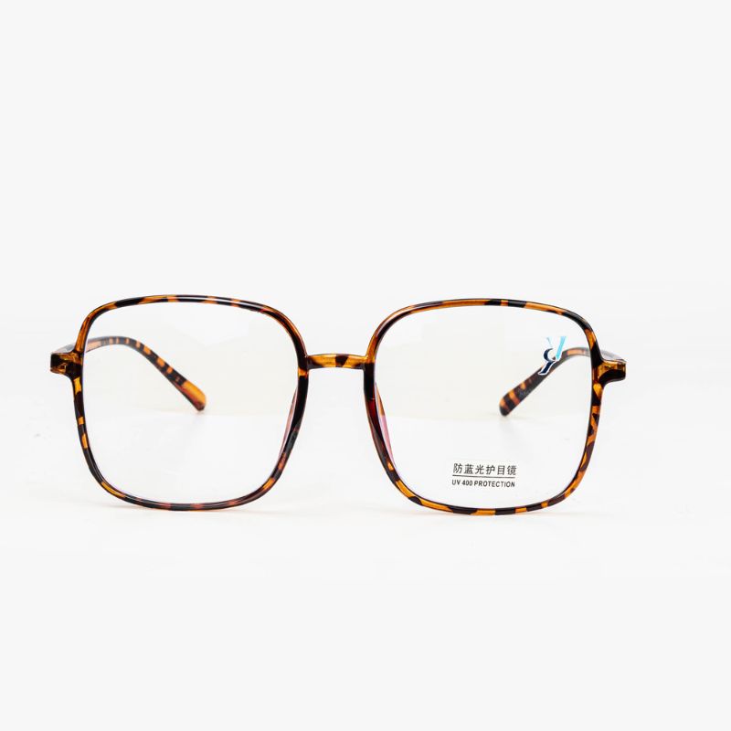 Lunettes Femme - Ray Vision - 079